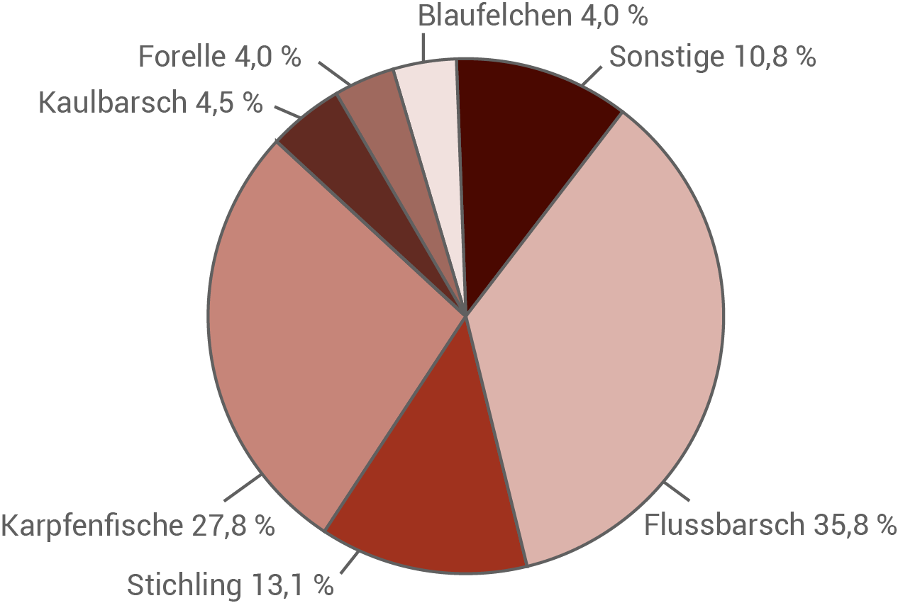 Nahrungsspektrum des Kormorans Kreisdiagramm