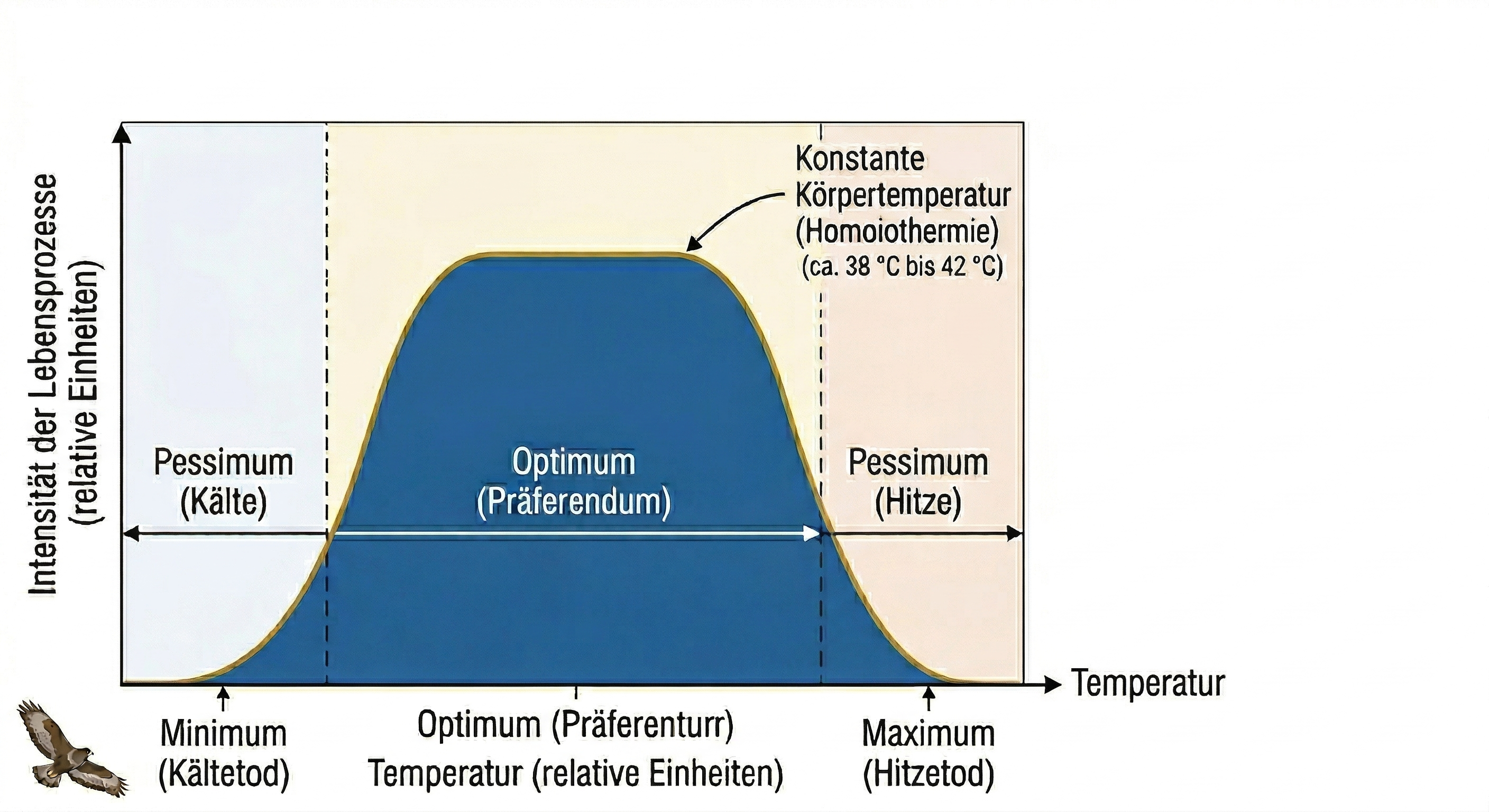 Temperatur-Toleranzkurve