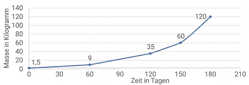 Liniendiagramm zur Masse in Kilogramm über die Zeit in Tagen mit ansteigenden Werten.