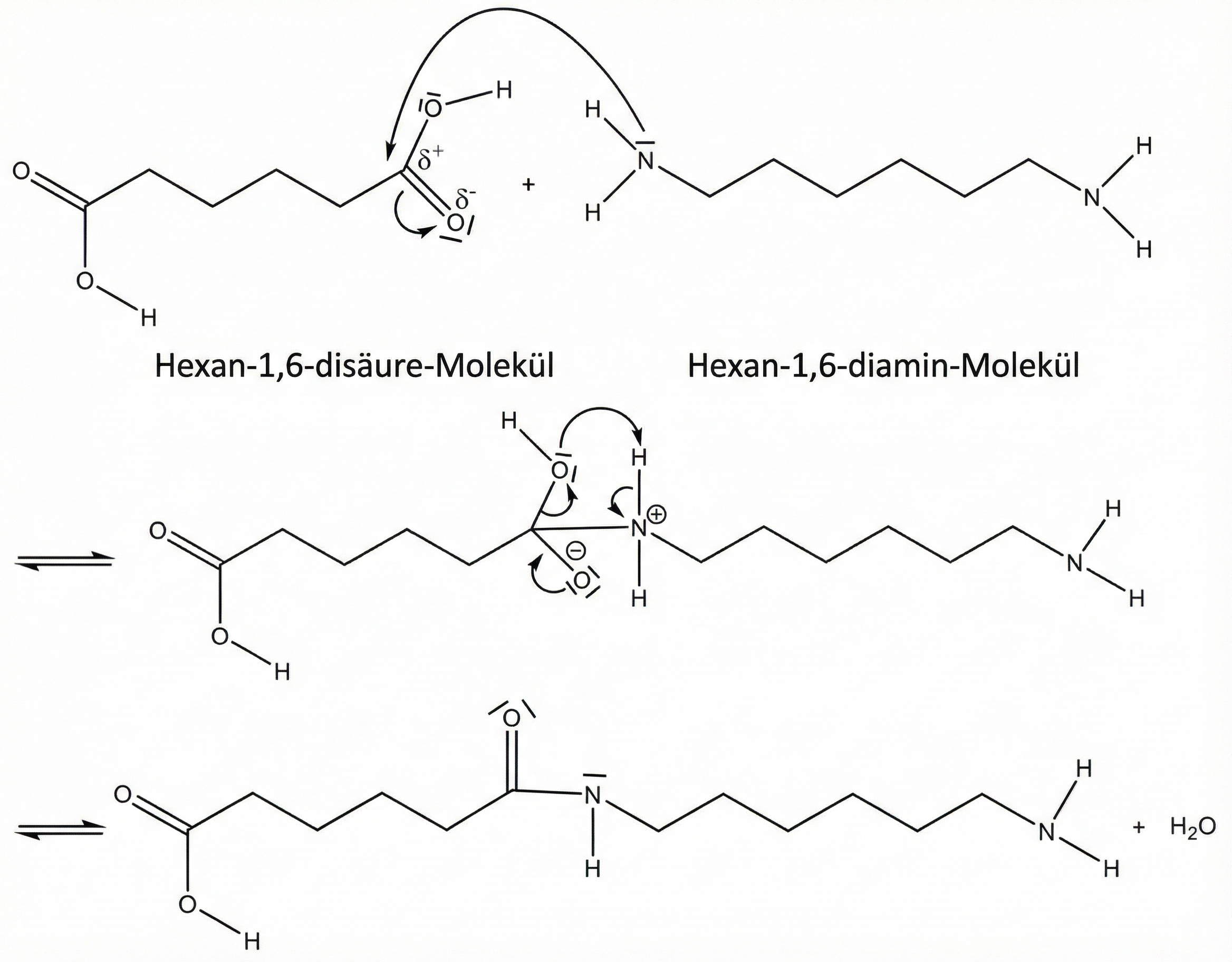 Reaktionsmechanismus zur Herstellung von Nylon aus Hexan-1,6-disäure und Hexan-1,6-diamin