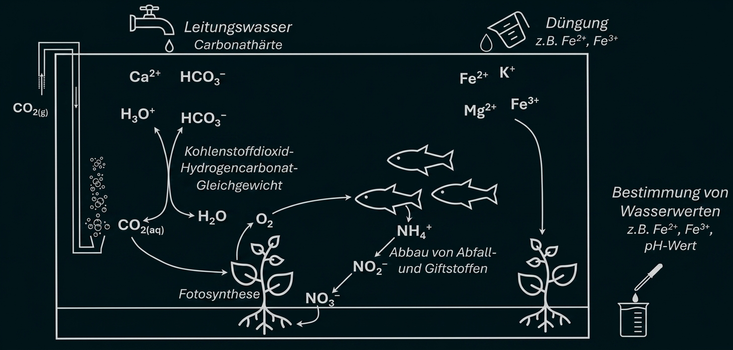 Schematische Darstellung von Wasserwerten in einem Aquarium mit Fischen, Pflanzen und chemischen Stoffen