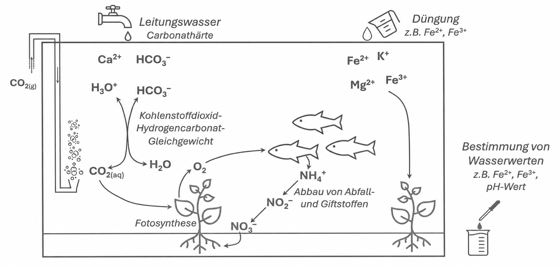 Schematische Darstellung von Wasserwerten in einem Aquarium mit Fischen, Pflanzen und chemischen Stoffen