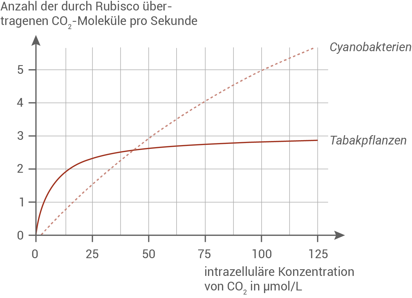Diagramm zur CO₂-Übertragung durch Rubisco in Cyanobakterien und Tabakpflanzen.