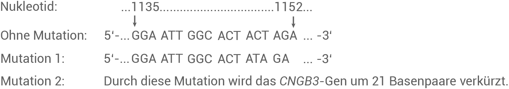 Abbildung