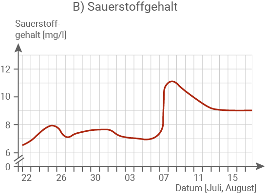 Abbildung
