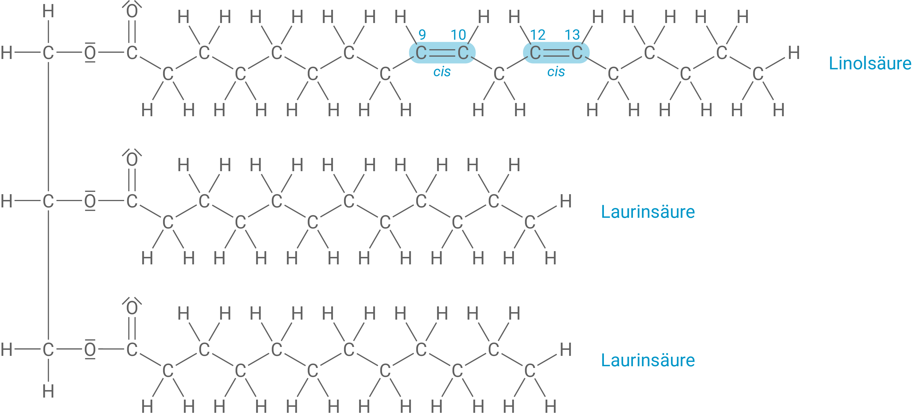 Strukturformel Triglycerid 2 einmal Linolsäure und zweimal Laurinsäure