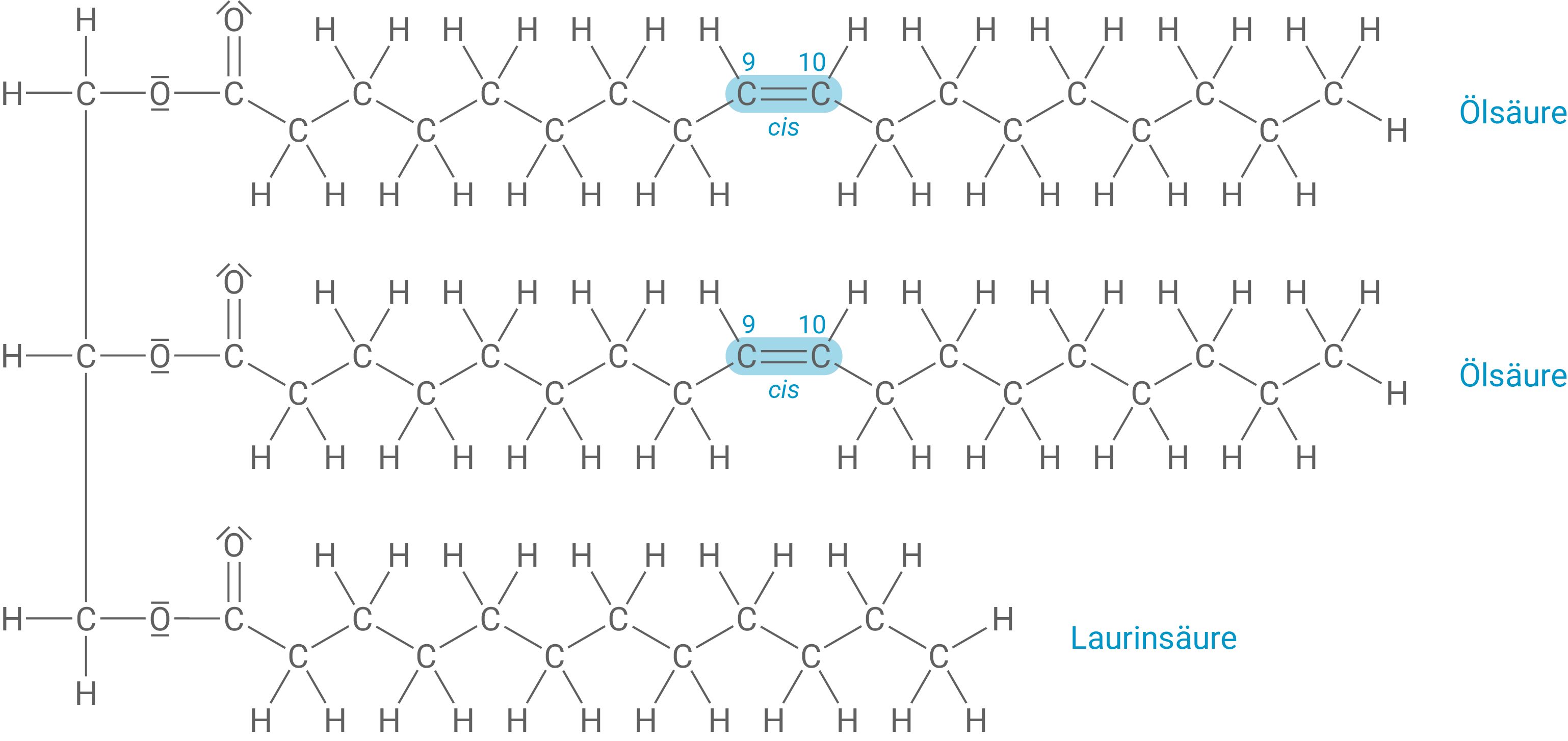 Strukturformel Triglycerid 1 zweimal Ölsäure und einmal Laurinsäure