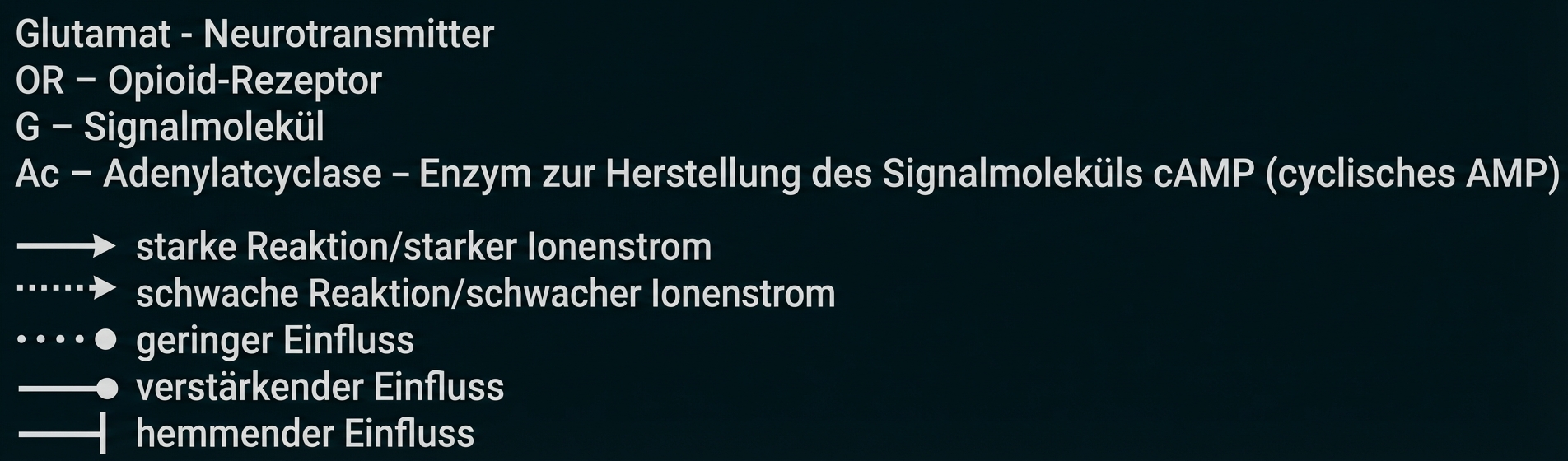 Legende Abbildung Opioide