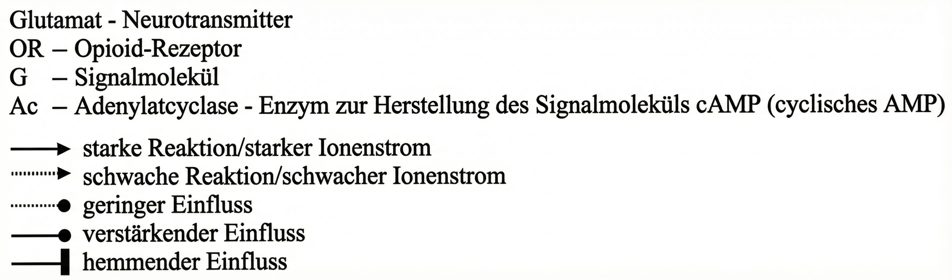 Legende Abbildung Opioide