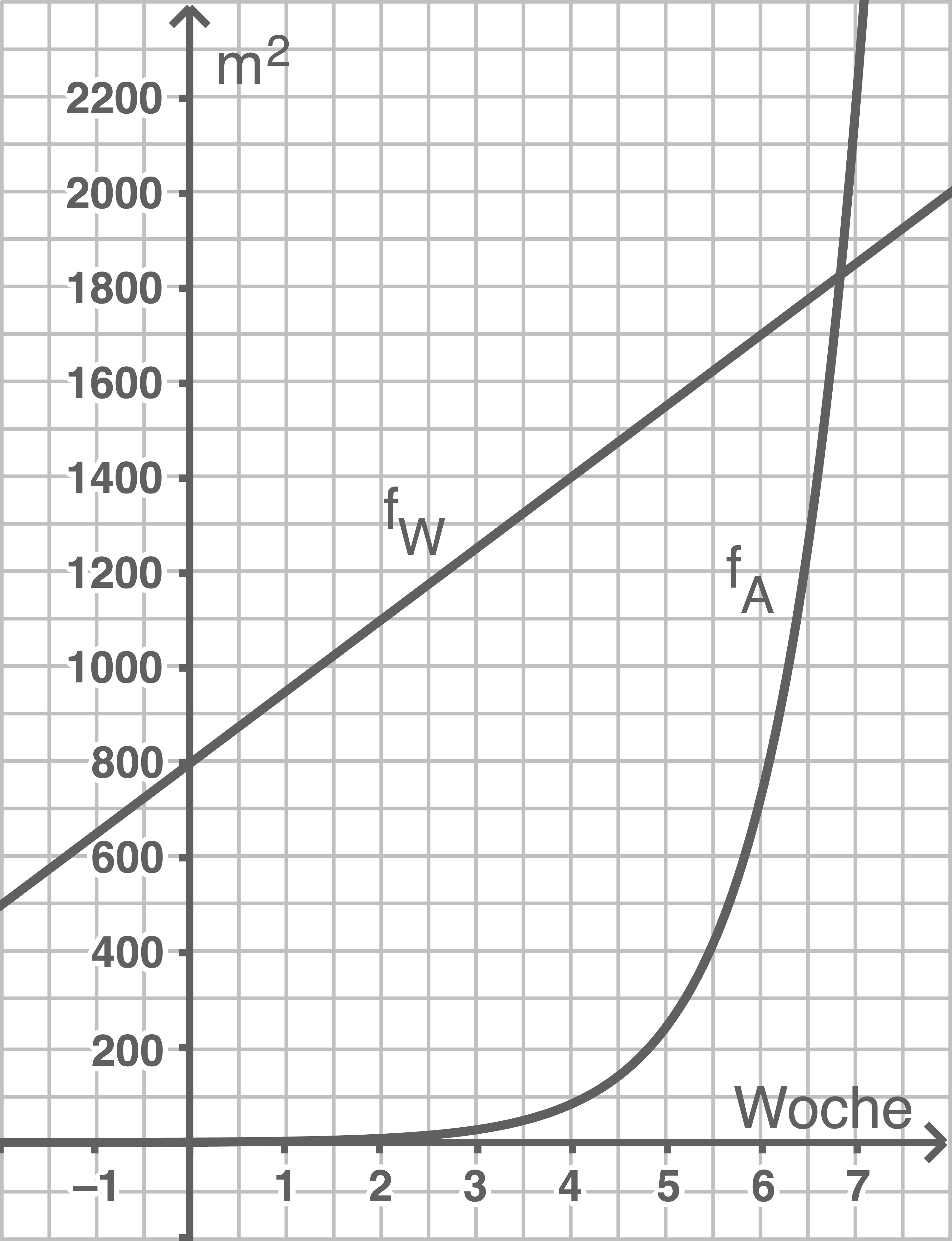 Algenteppich Baggersee Lineares Exponentielles Wachstum
