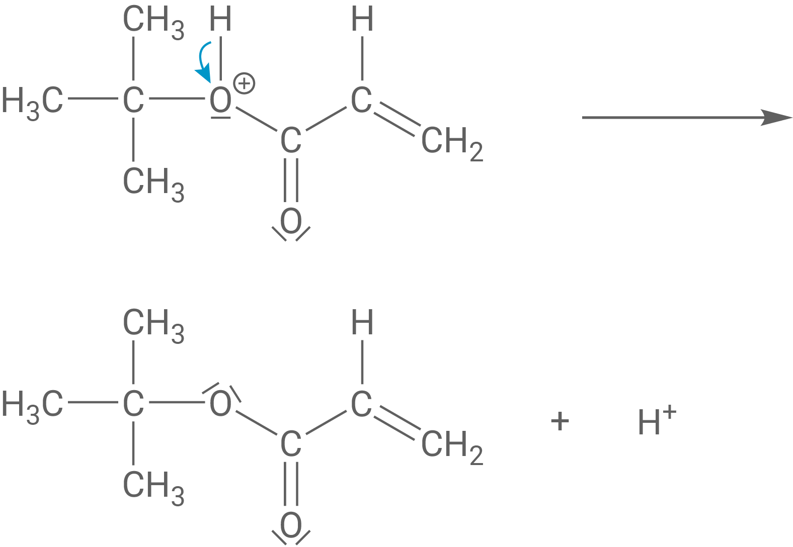Synthese tert-Butylprop-2-enoat elektrophile Addition Schritt 3 Deprotonierung Mobile