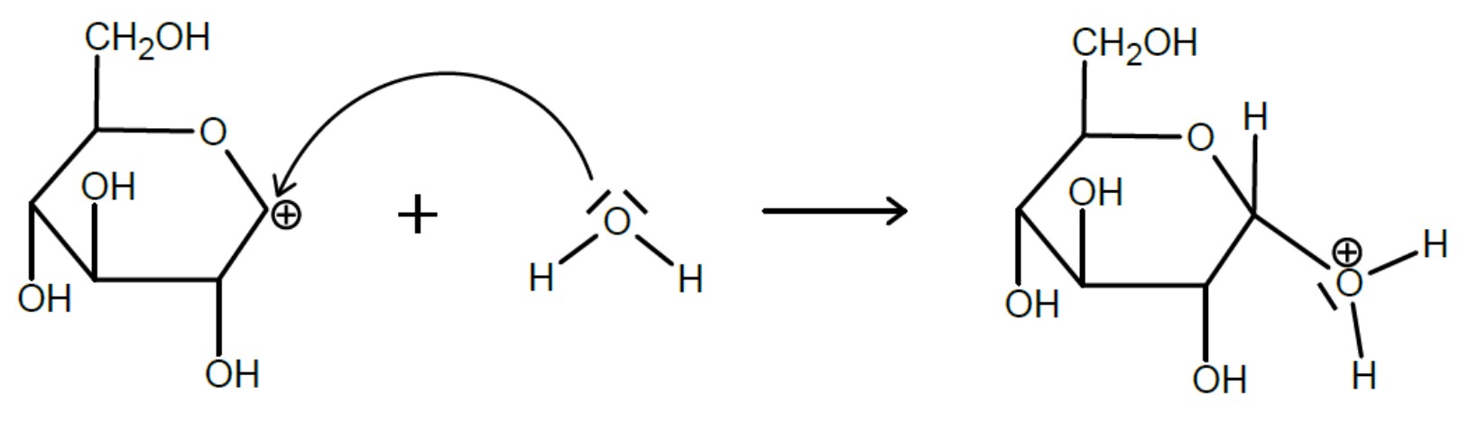 Schematische Abbildung: cyclisches Zuckermolekül reagiert mit einer kleinen Sauerstoffverbindung und bildet ein protoniertes Zuckerring-Oxonium.