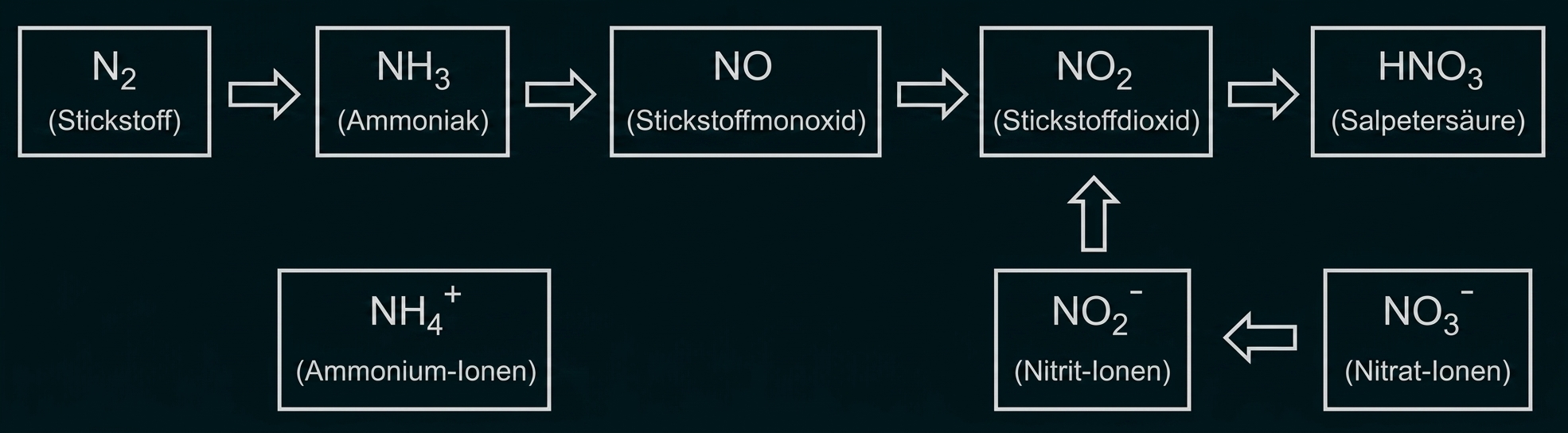 Schematische Darstellung einiger Stickstoffverbindungen