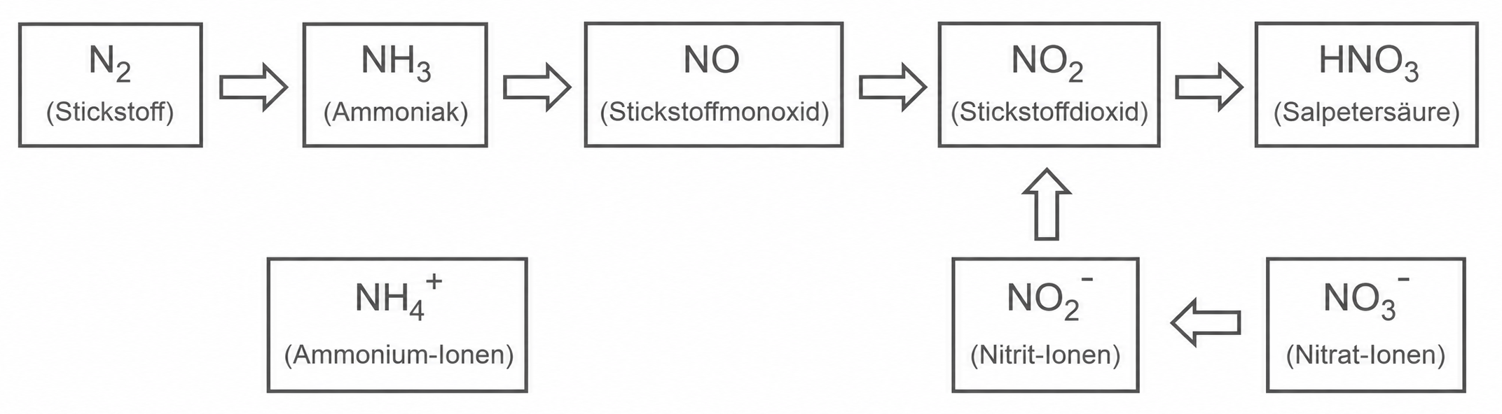 Schematische Darstellung einiger Stickstoffverbindungen