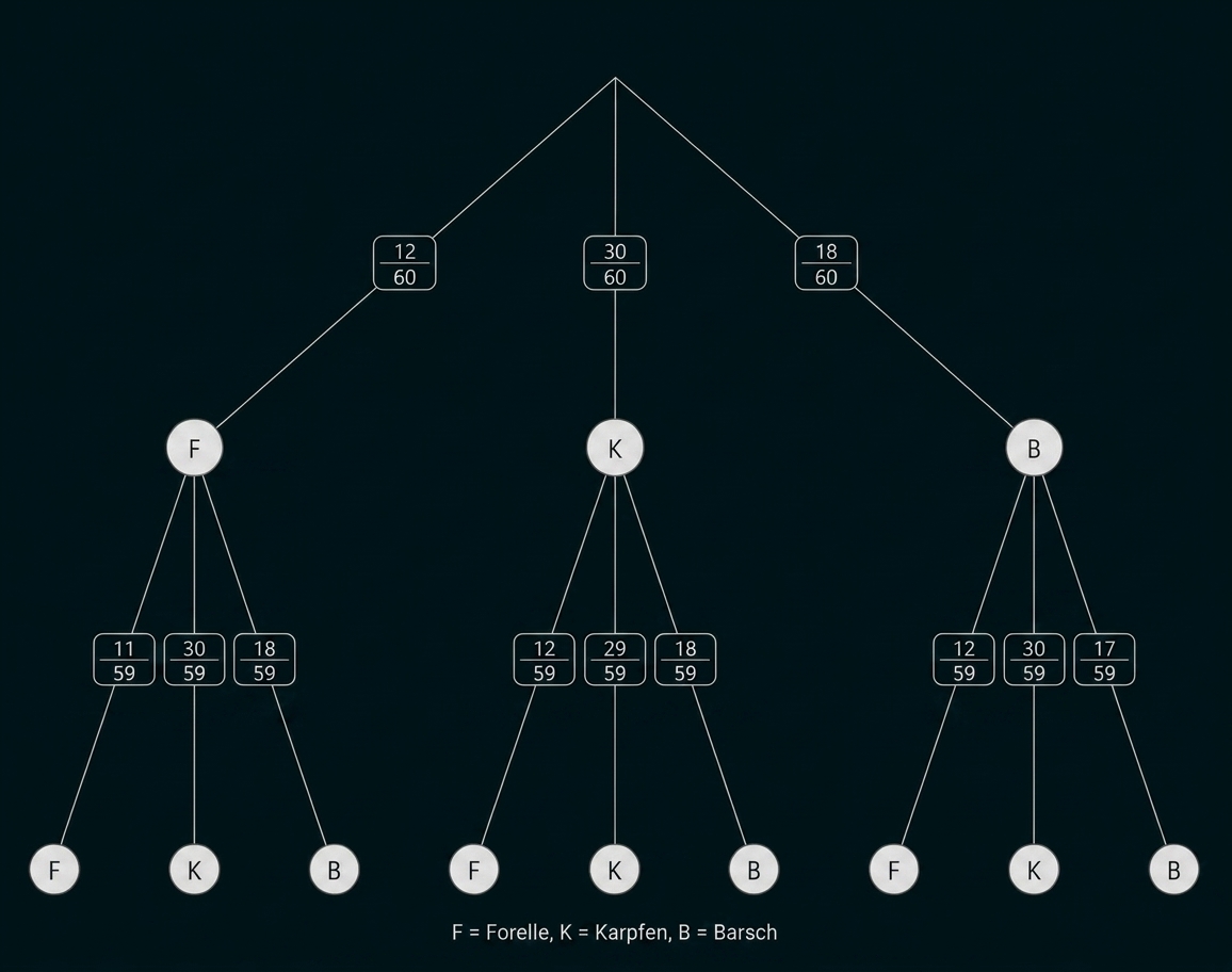 Baumdiagramm mit F, K und B sowie Bruchzahlen als Verzweigungen