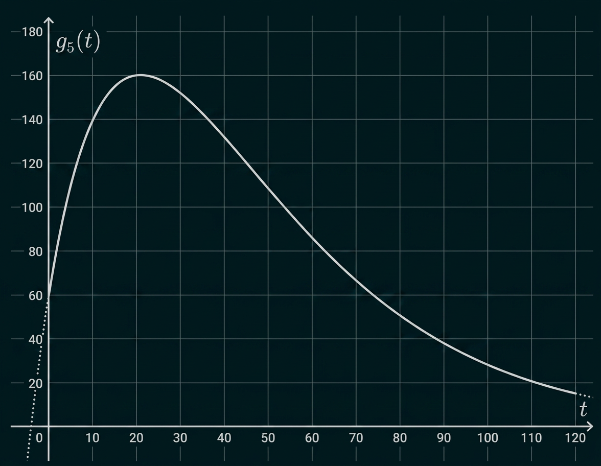 Graph der Funktion g₅(t) mit Maximum bei etwa t=20 und anschließend fallendem Verlauf.