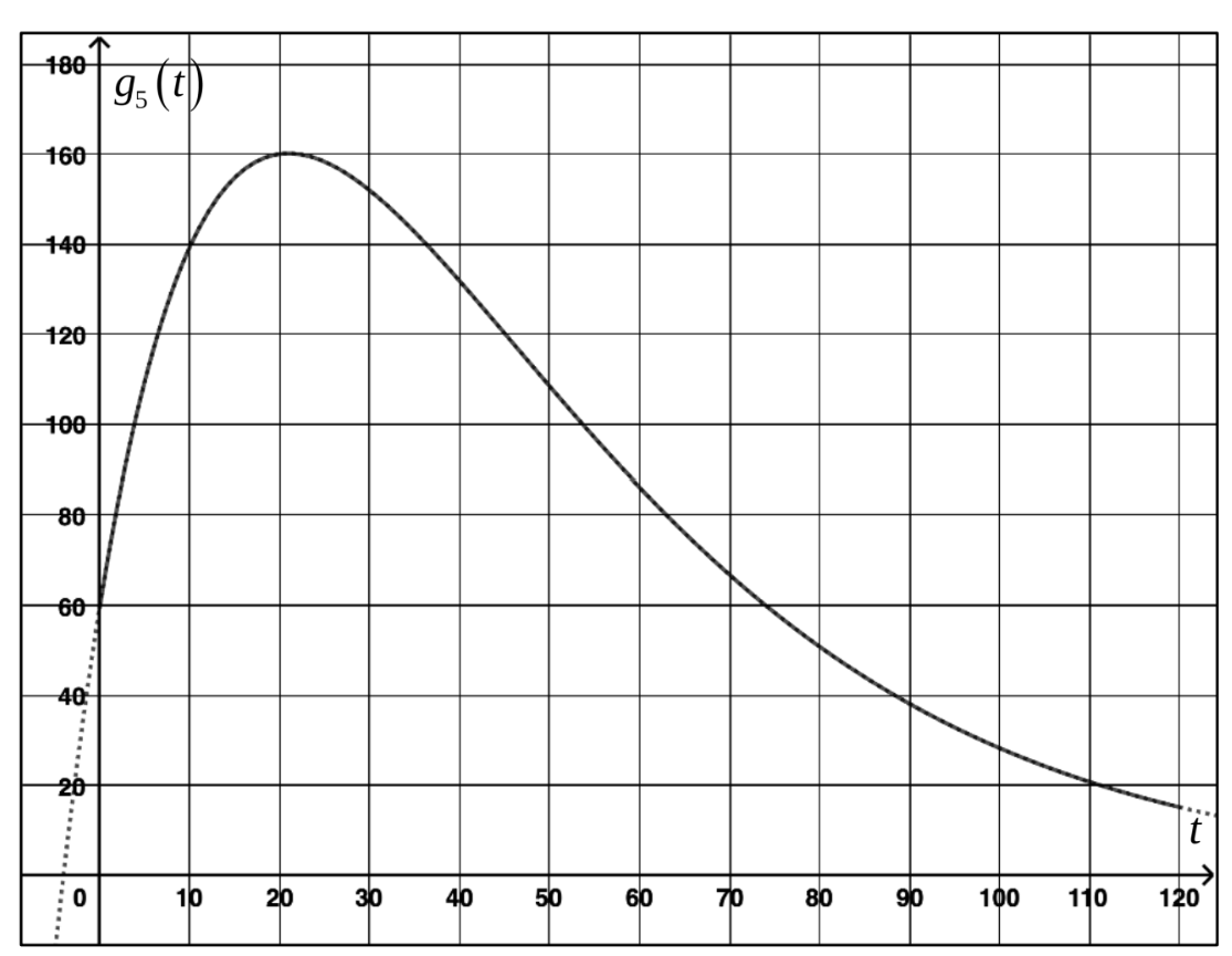 Graph der Funktion g₅(t) mit Maximum bei etwa t=20 und anschließend fallendem Verlauf.