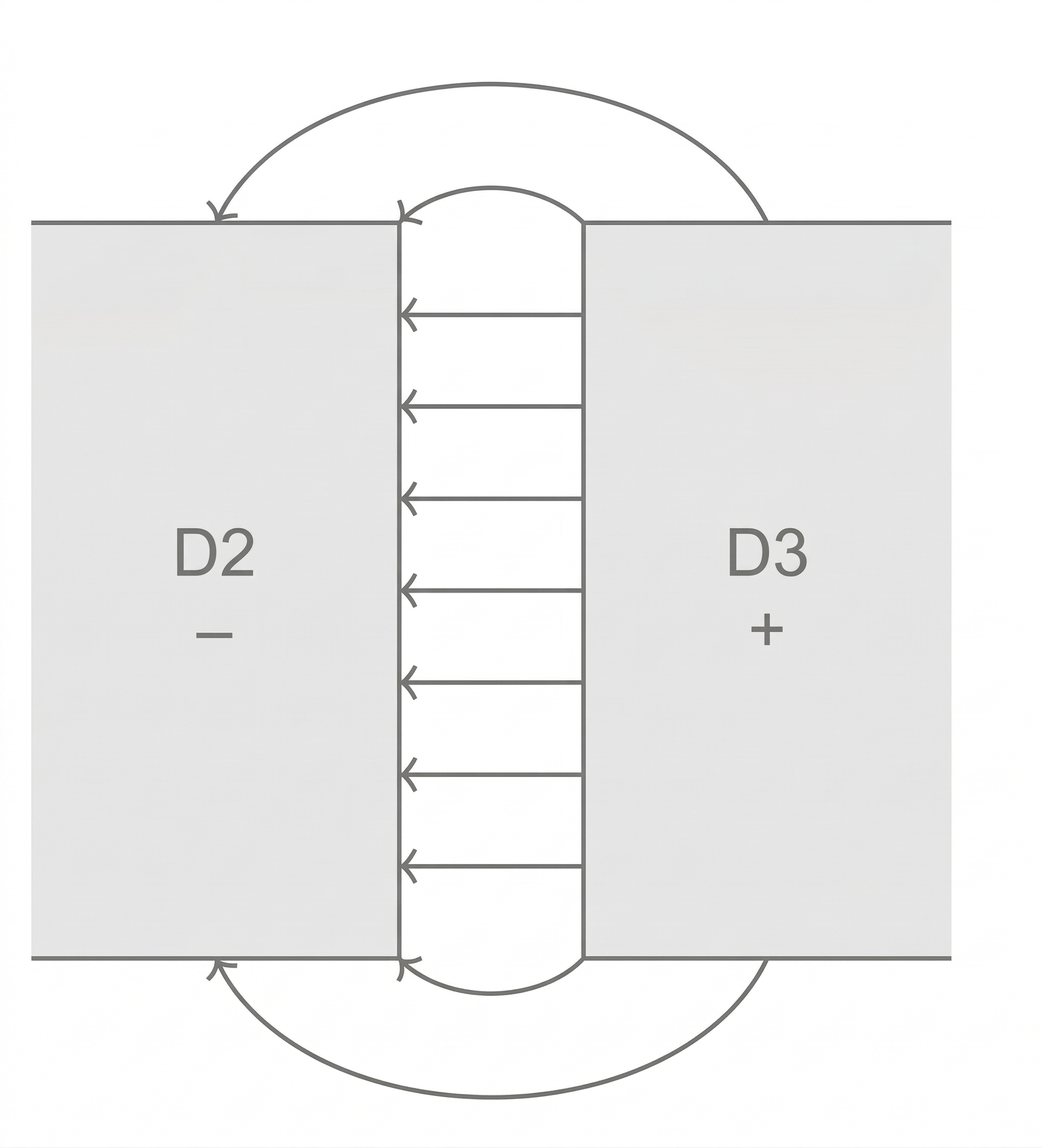 Schematisches Diagramm: zwei Bereiche D2 (–) und D3 (+) verbunden durch einen mittigen Kanal mit Pfeilen