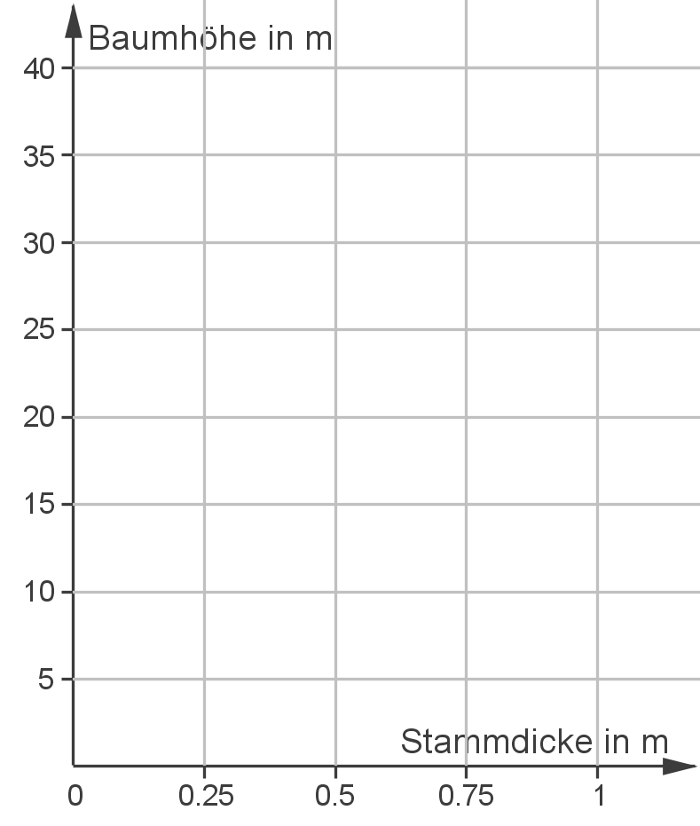 Diagramm zur Darstellung von Baumhöhe und Stammdicke. Achsen beschriftet in Metern.