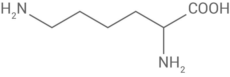 Chemische Struktur eines Aminosäuremoleküls mit funktionellen Gruppen.
