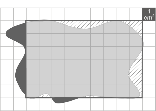 Unregelmäßige graue Fläche auf kariertem Gitter mit umrandetem Rechteck, Schraffur und Maßstab 1 cm²