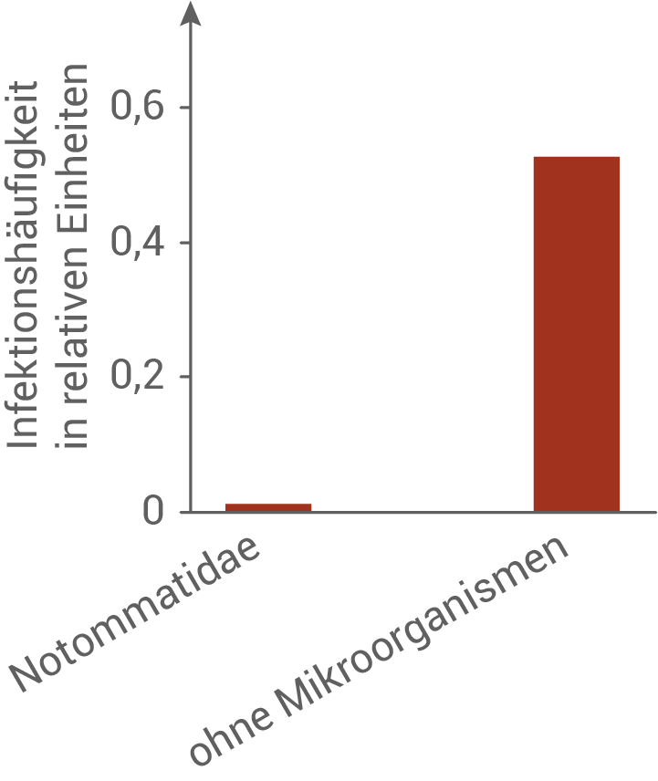 bio abi 2022 bayern höhere und niedere pilze