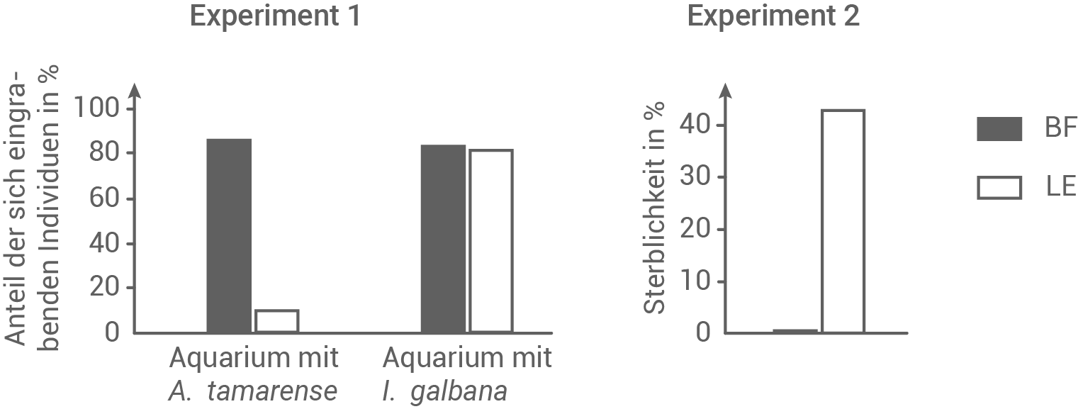bio abi 2023 sachsen anhalt 
