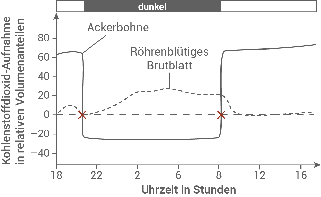 bio abi 2022 bayern stress bei pflanzen vergleich