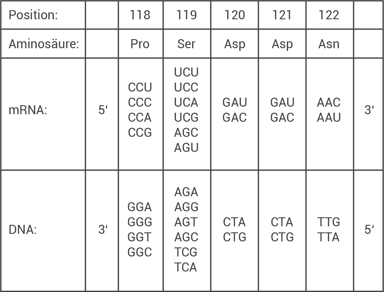 Tabelle mit Aminosäuren, mRNA- und DNA-Sequenzen für Positionen 118 bis 122.