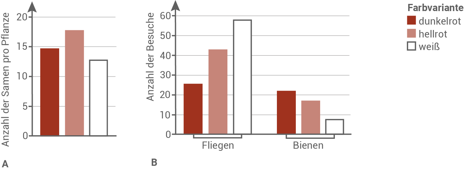 diagramm