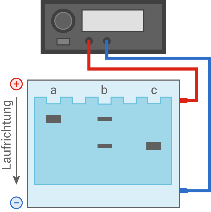 gelelektrophorese
