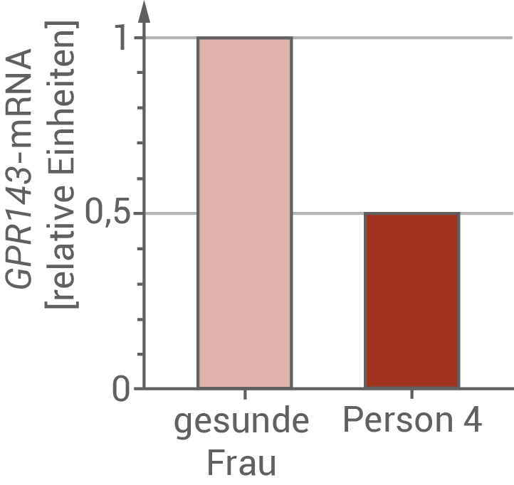 Diagramm