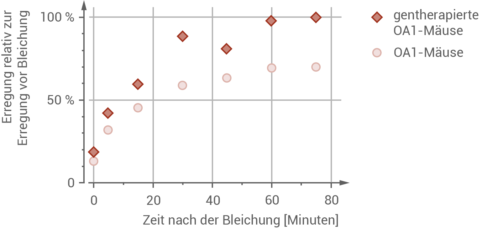 Diagramm