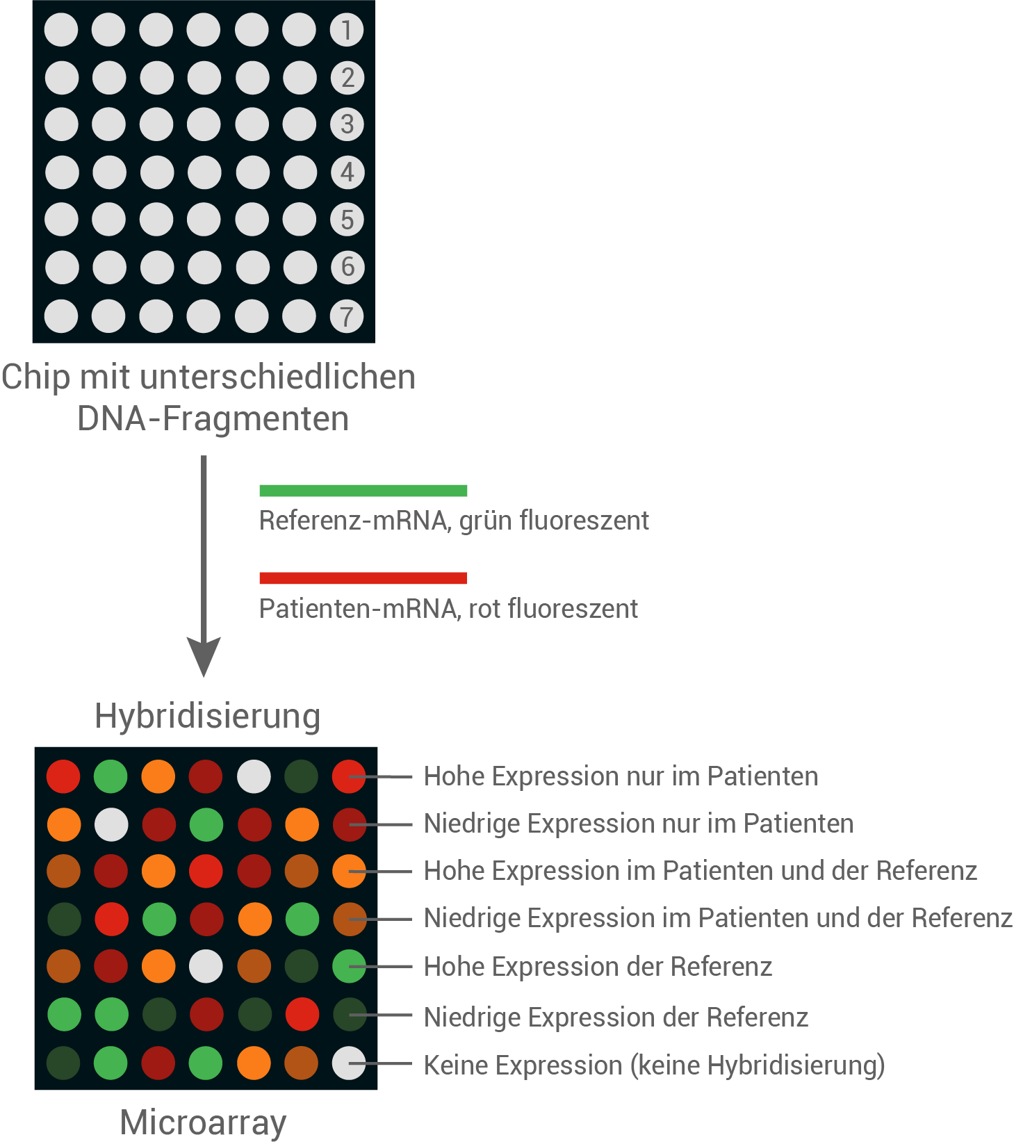microarray