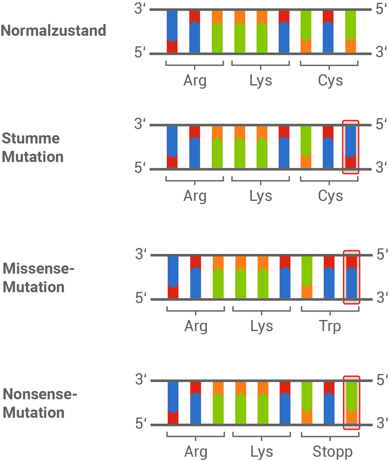 Mutationsarten
