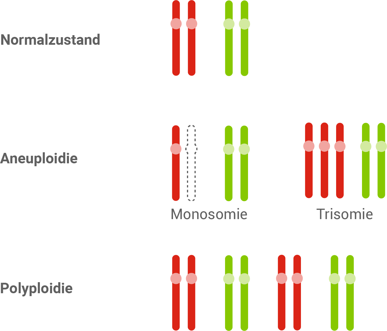 Genommutation