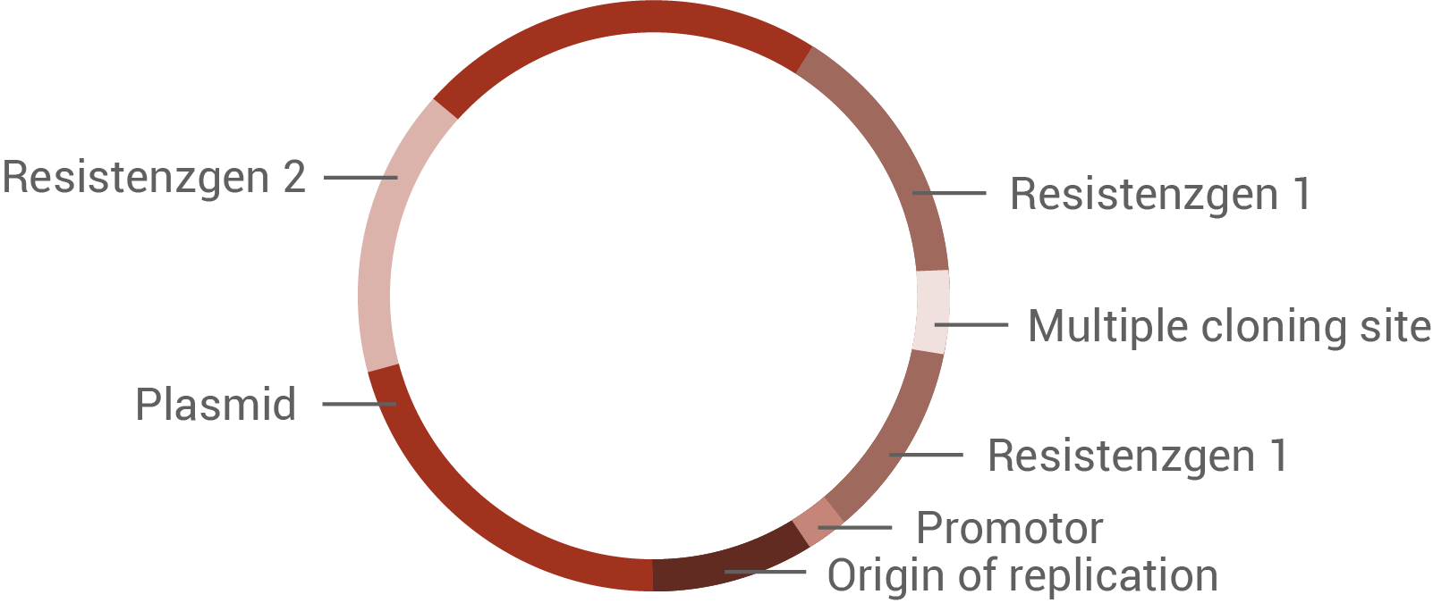 rekombinantes Plasmid