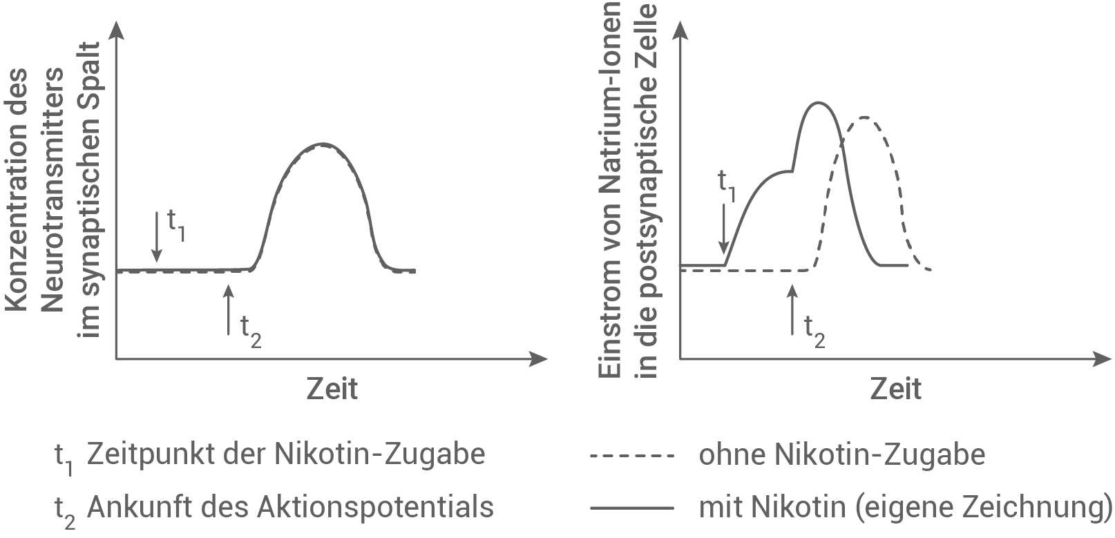 nikotinwirkung