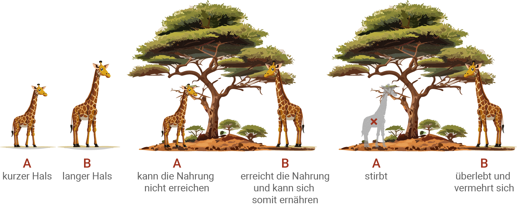 baden württemberg bio evolutionstheorien beispiel der evolutionstheorie nach darwin