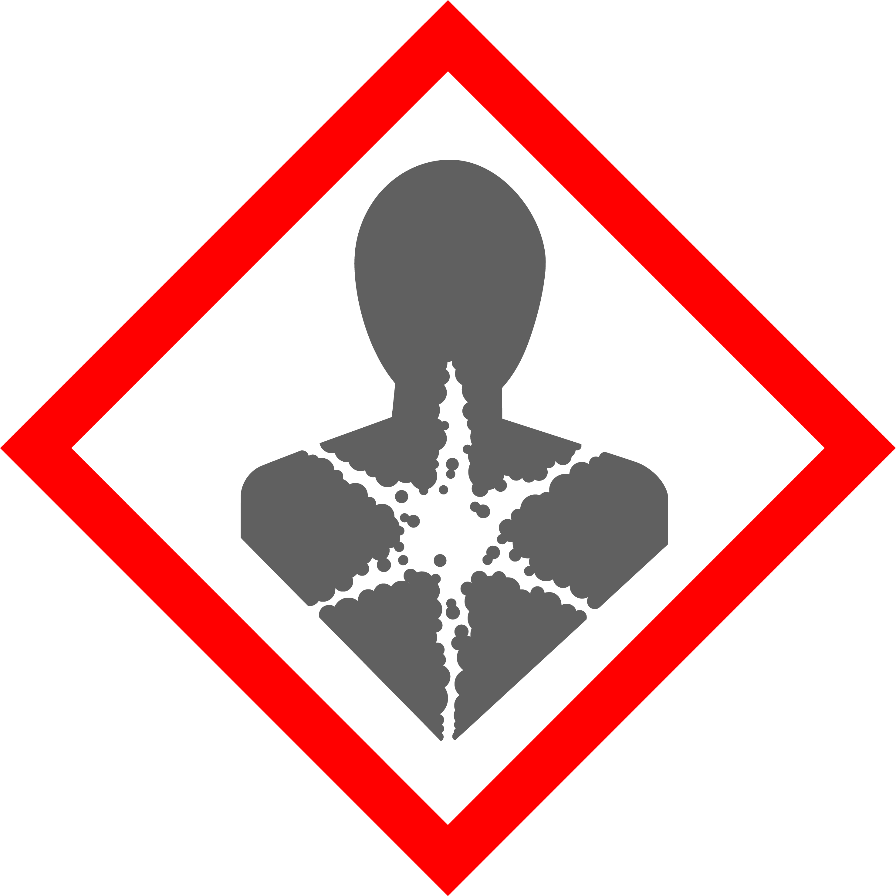 chemie basiswissen GHS08