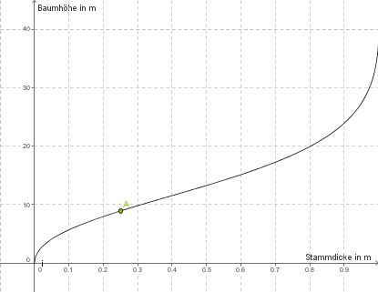 Diagramm mit Achsen für Baumhöhe und Stammgröße, zeigt einen Punkt.