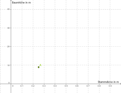 Diagramm mit einer Achse für Baumhöhe und einer für Stammdicke, zeigt einen Punkt in einem Koordinatensystem.