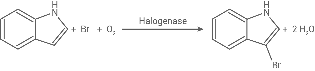 chemie bayern 2021 c1 abbildung 2