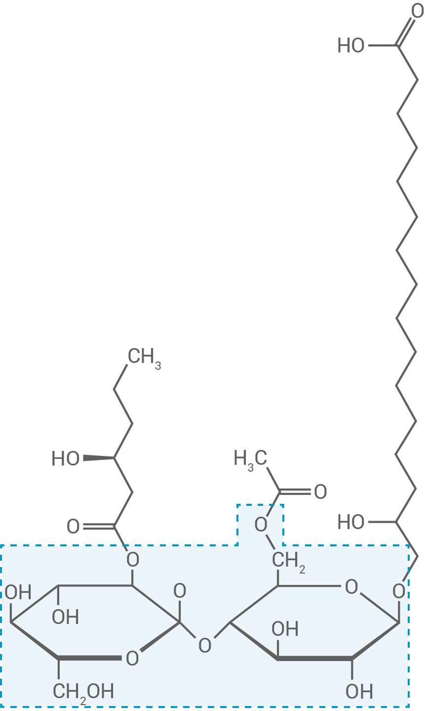 chemie bayern 2023 b2 abbildung 4