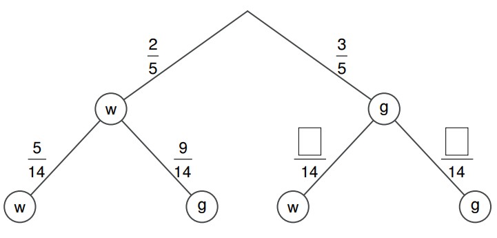 Baumdiagramm mit W- und G-Verzweigungen und Bruchwahrscheinlichkeiten.