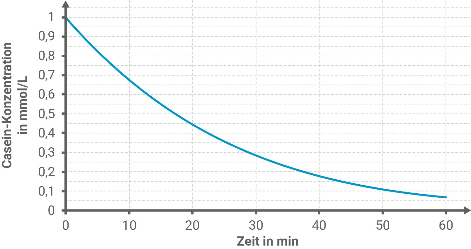 Diagramm zur Veränderung der Casein-Konzentration über die Zeit beim Abbau durch Actinidain