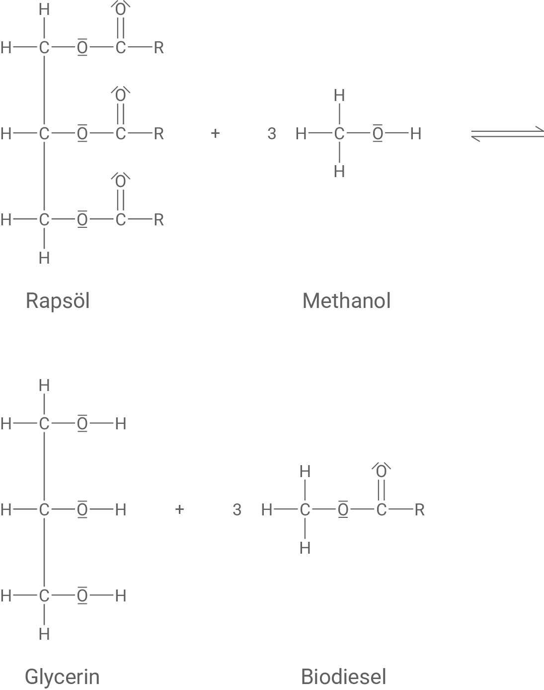 Reaktionsgleichung Herstellung Biodiesel aus Rapsöl und Methanol