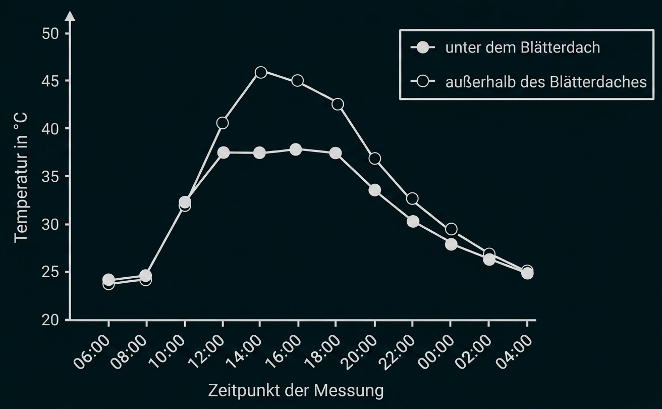 Liniendiagramm: Tagesverlauf der Temperatur, zwei Kurven für Messungen unter und außerhalb des Blätterdachs.