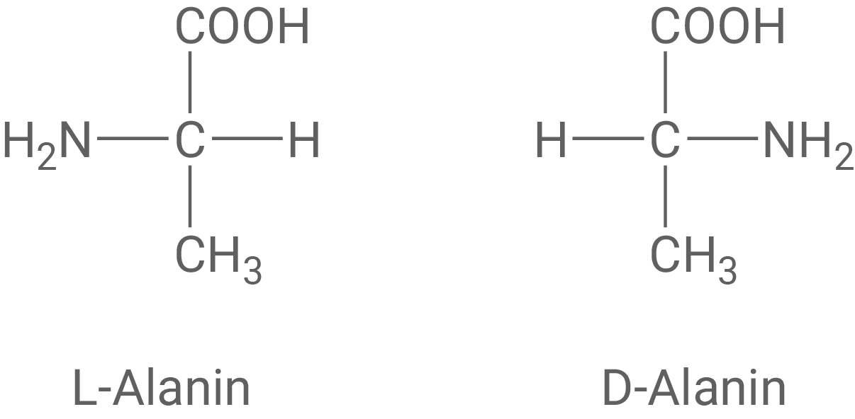 Fischer-Projektion D-Alanin L-Alanin