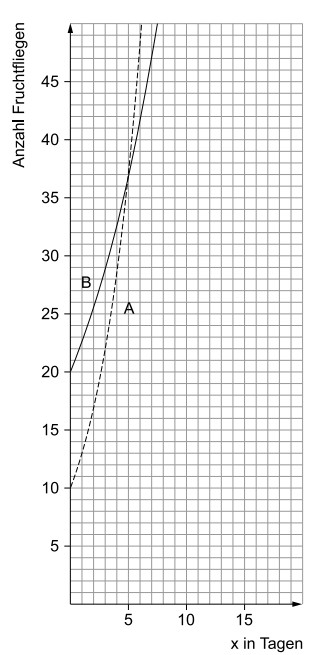 Diagramm: Anzahl Fruchtfliegen vs. Tage, Gitter, zwei Kurven (eine gestrichelt), markierte Punkte A und B bei etwa 5 Tagen.